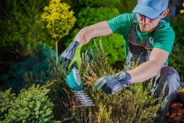 landscaping services Hopewell Junction